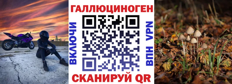 купить наркотики цена  Жиздра  Псилоцибиновые грибы MAGIC MUSHROOMS 